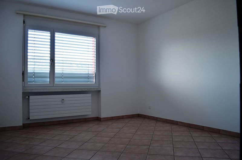 BELL'APPARTAMENTO 3.5 LOCALI RISTRUTTURATO-OTTIMA PALAZZINA (3)
