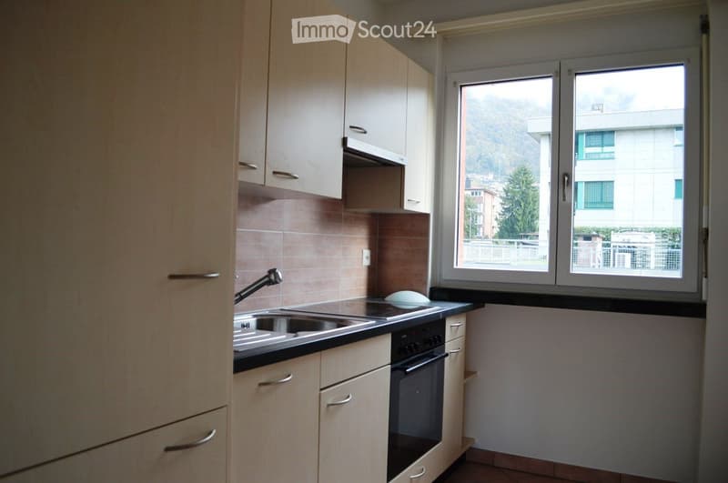 BELL'APPARTAMENTO 3.5 LOCALI RISTRUTTURATO-OTTIMA PALAZZINA (4)