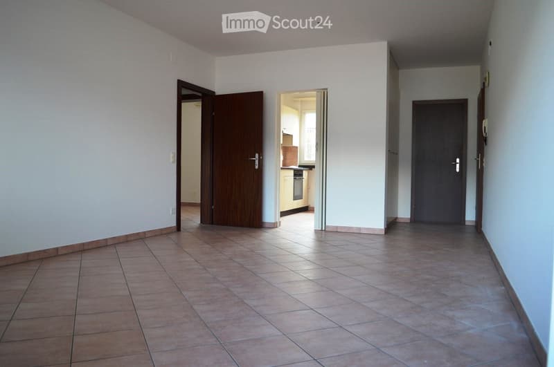 BELL'APPARTAMENTO 3.5 LOCALI RISTRUTTURATO-OTTIMA PALAZZINA (5)