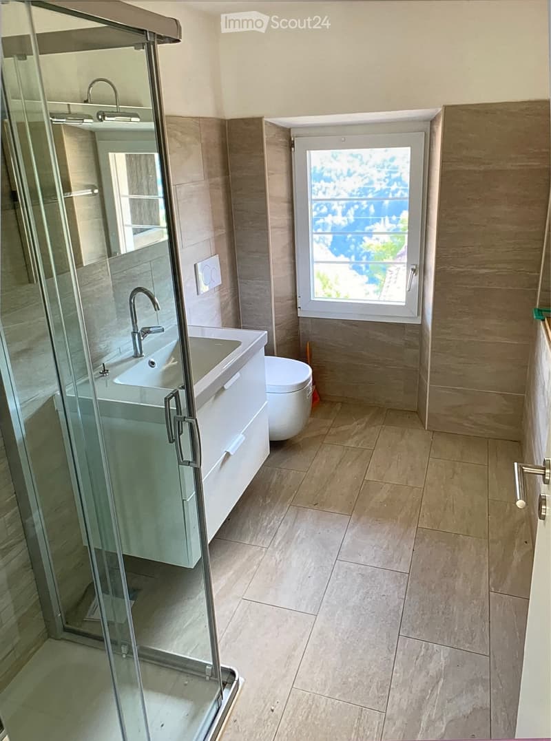 Helles 2.5-Zimmer-Apartment (1)