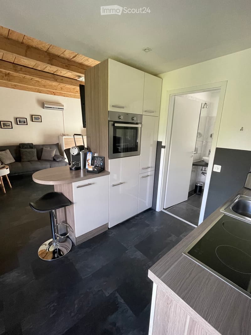 Ferienwohnung  Lago Maggiore **CS** Casa Serena in Vairano (3)