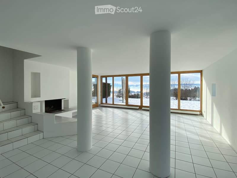 Single-family house in top location (1)