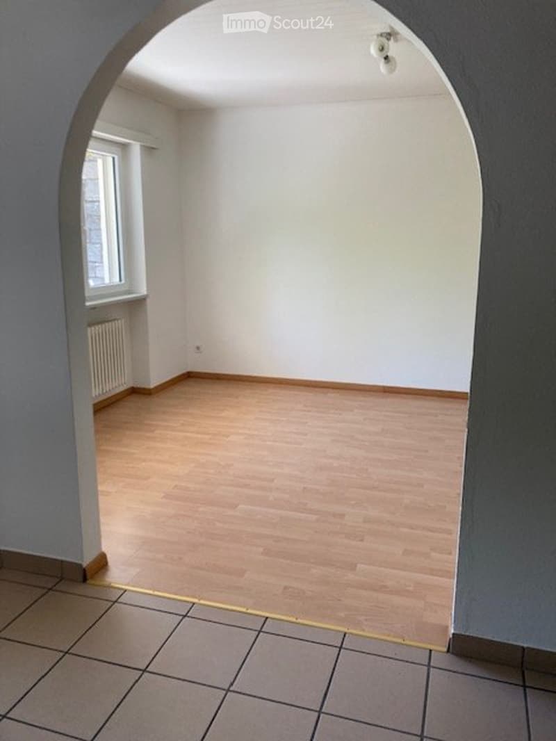 Spacious studio apartment (2)