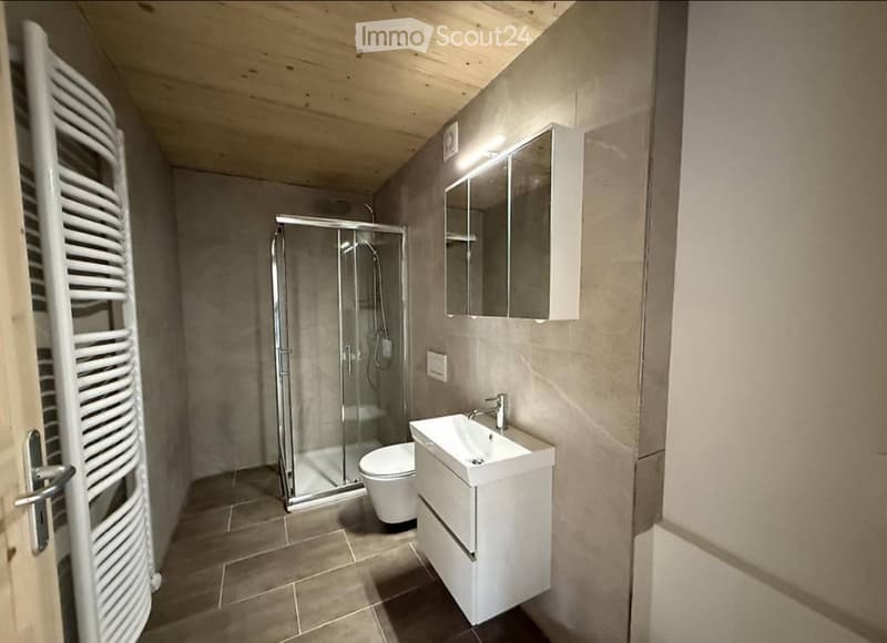 3.5 Zimmer Neubauwohnung (3)