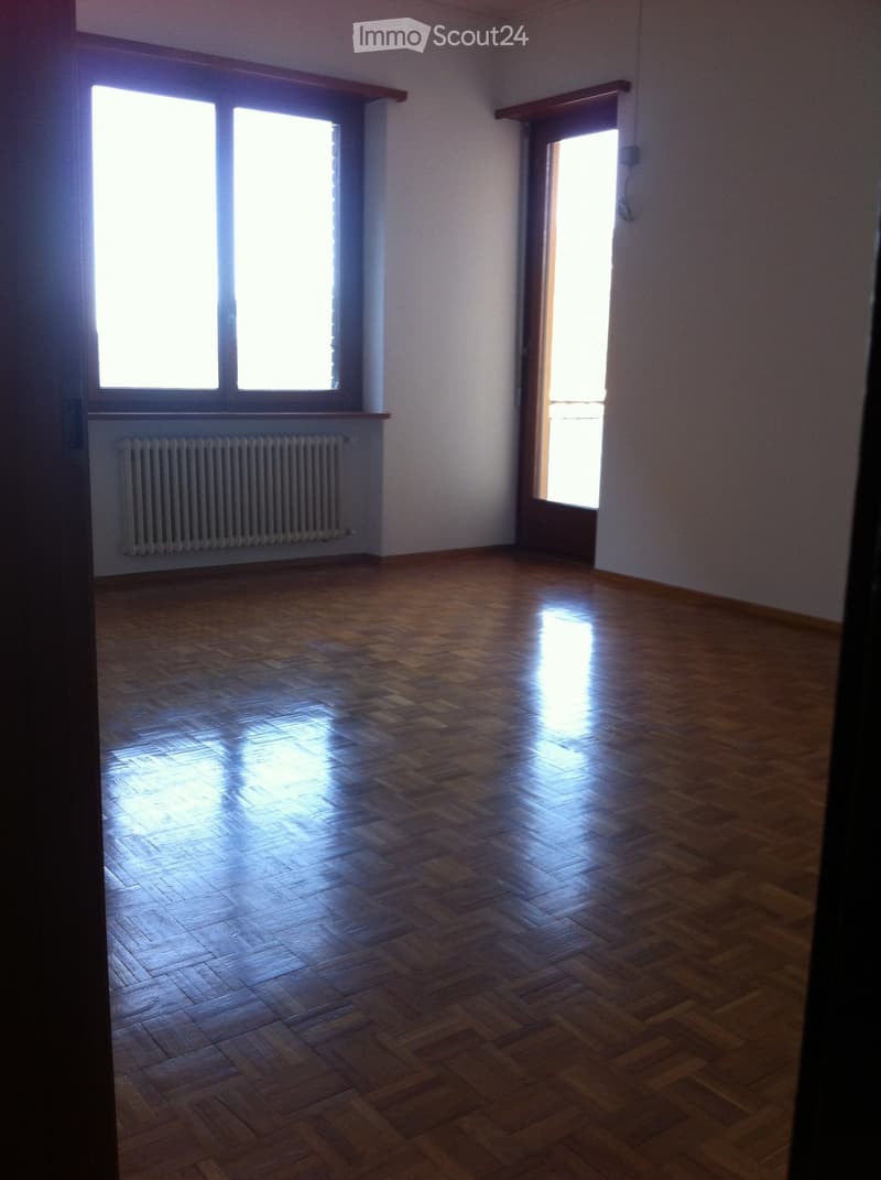Luxury Apartment very Bright (1)