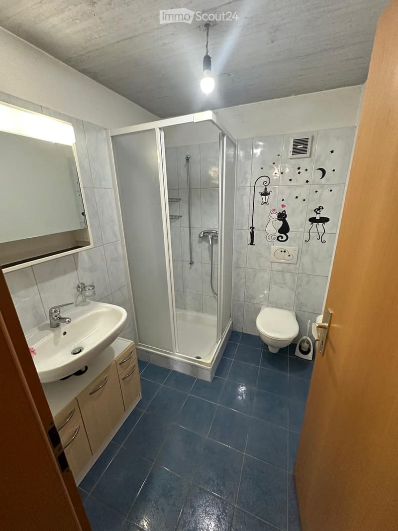 Quiet 3.5-room apartment in Dangio (3)