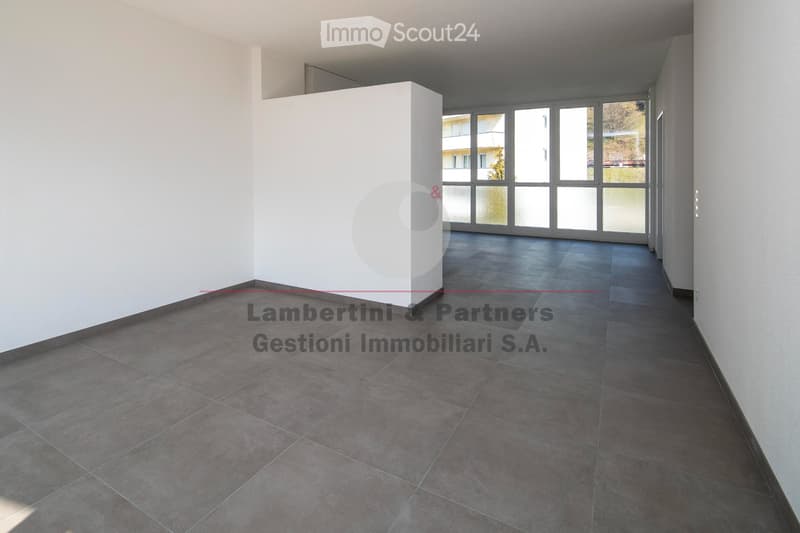 APPARTAMENTO 3.5 LOCALI a Balerna (4)