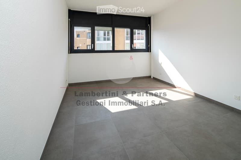 APPARTAMENTO 3.5 LOCALI a Balerna (7)