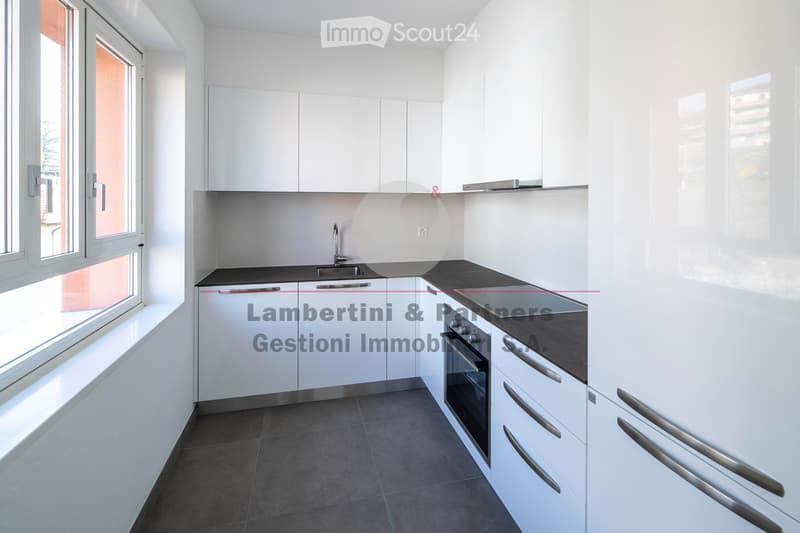 APPARTAMENTO 3.5 LOCALI a Balerna (5)