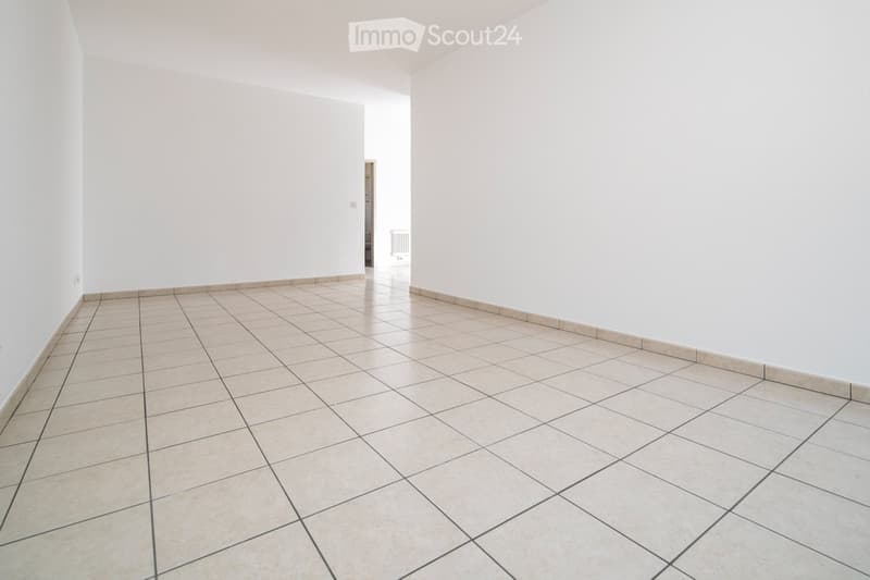 2.5 Room Apartment in Bellinzona (3)