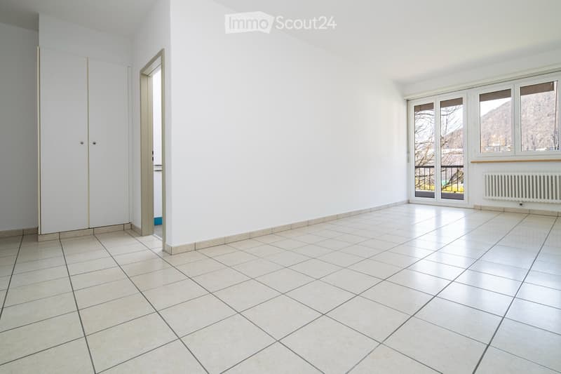 2.5 Room Apartment in Bellinzona (2)