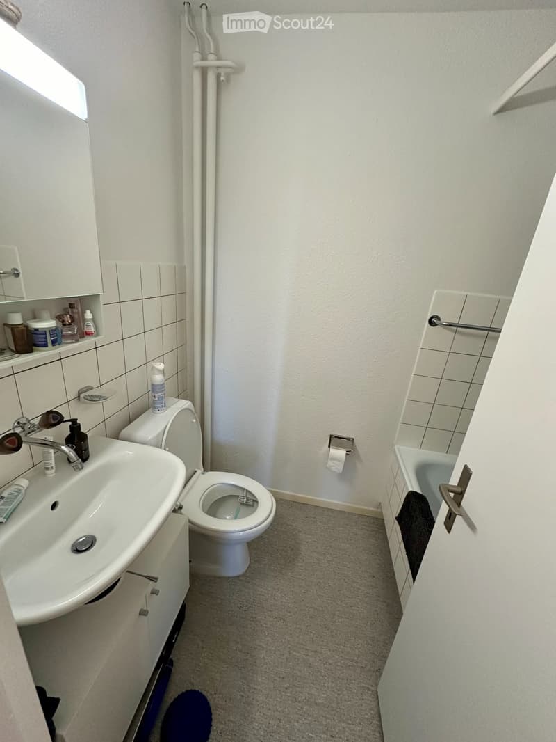 Your Home with a View of Bern (4)