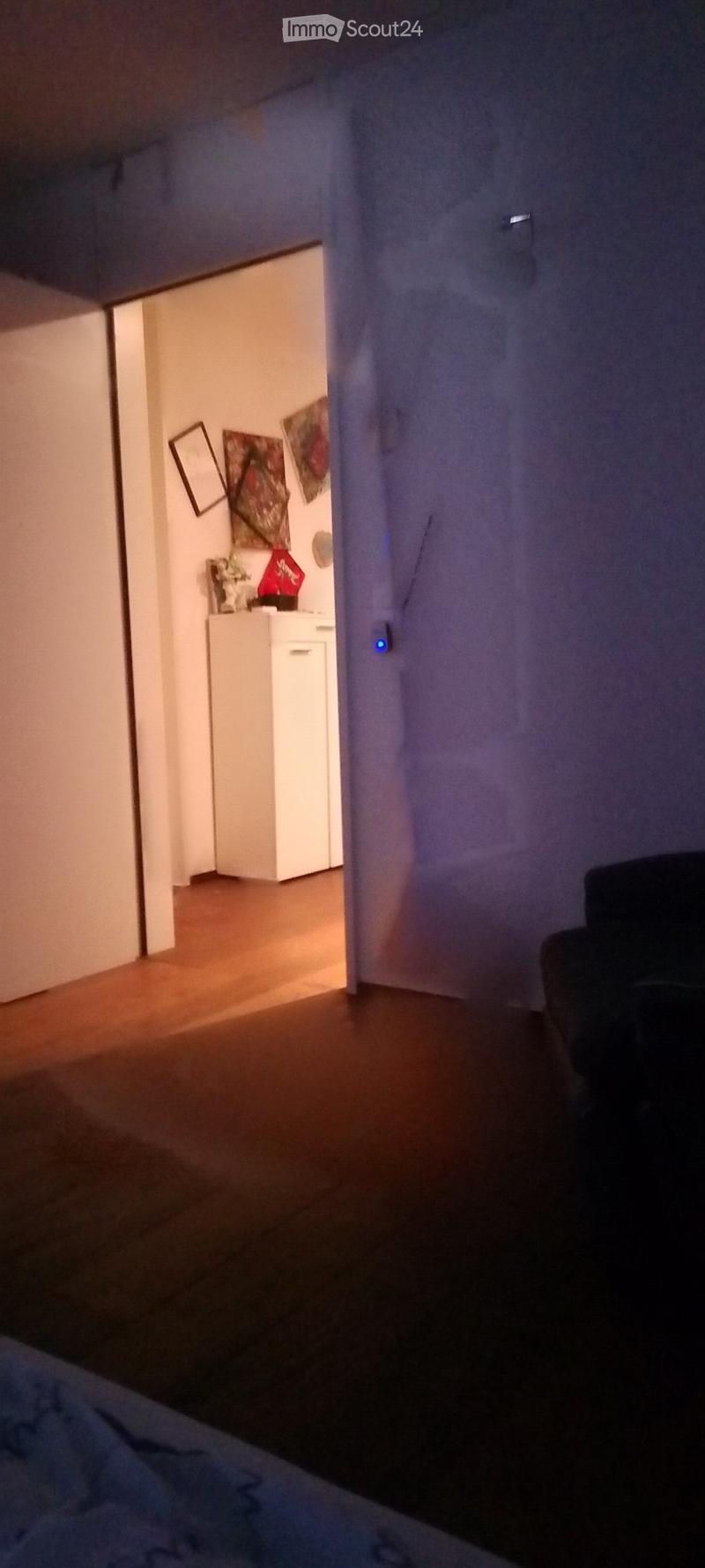 Chambre meublée avec balcon & vue sur les Alpes, maisonnette de luxe avec jacuzzi (4)