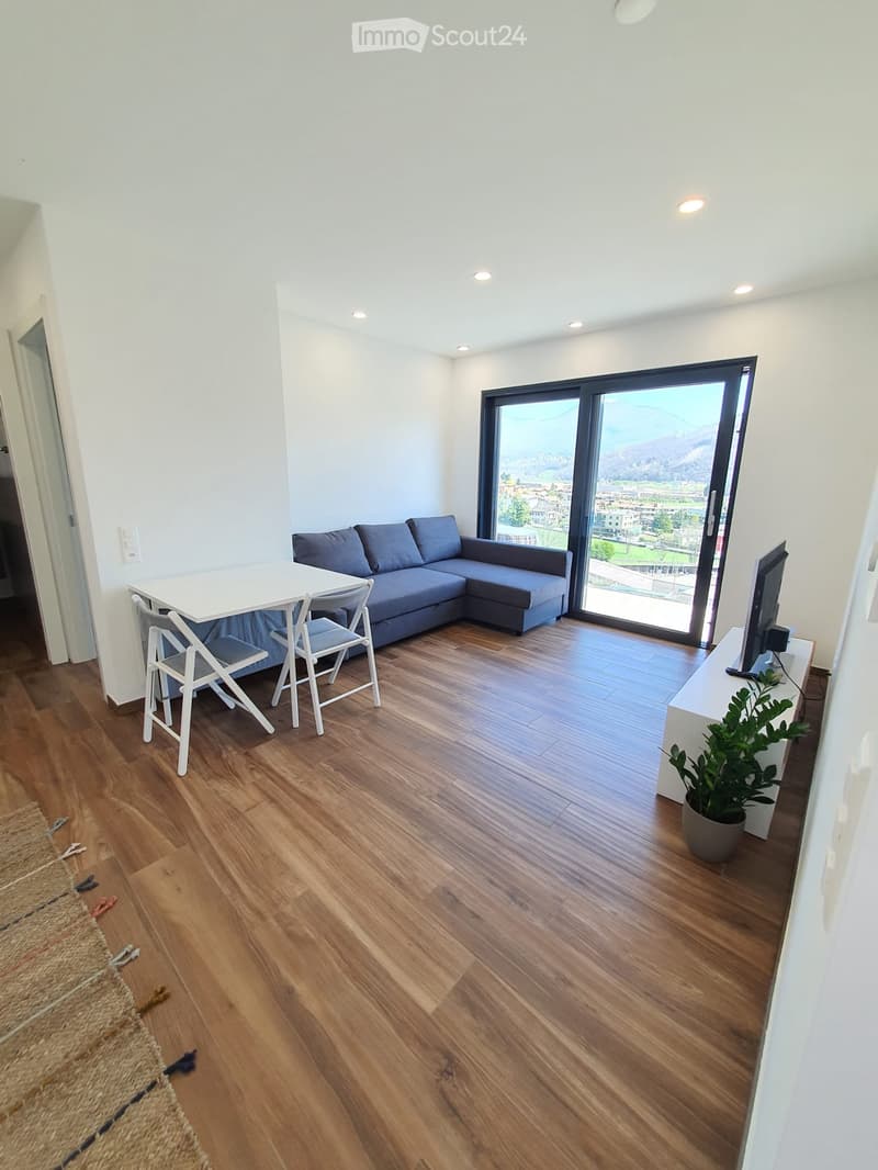 Appartamento ammobiliato 2,5 locali (4)