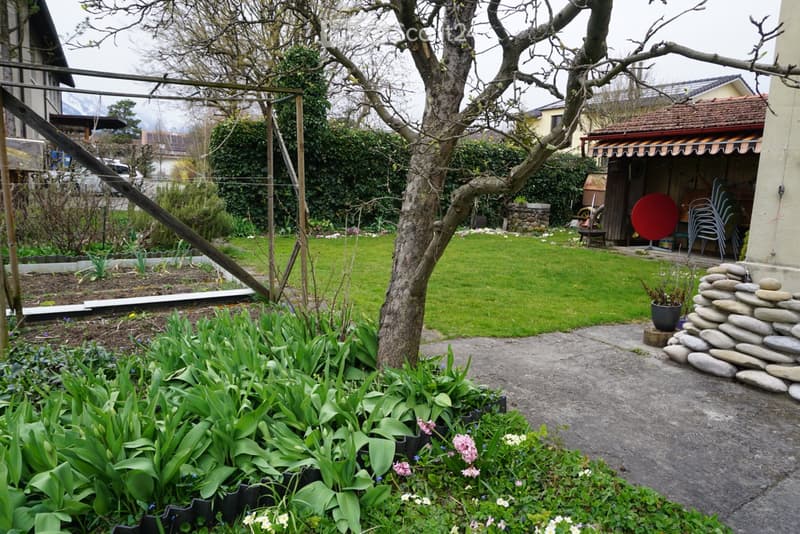 Temporary sublet in Thun (4)