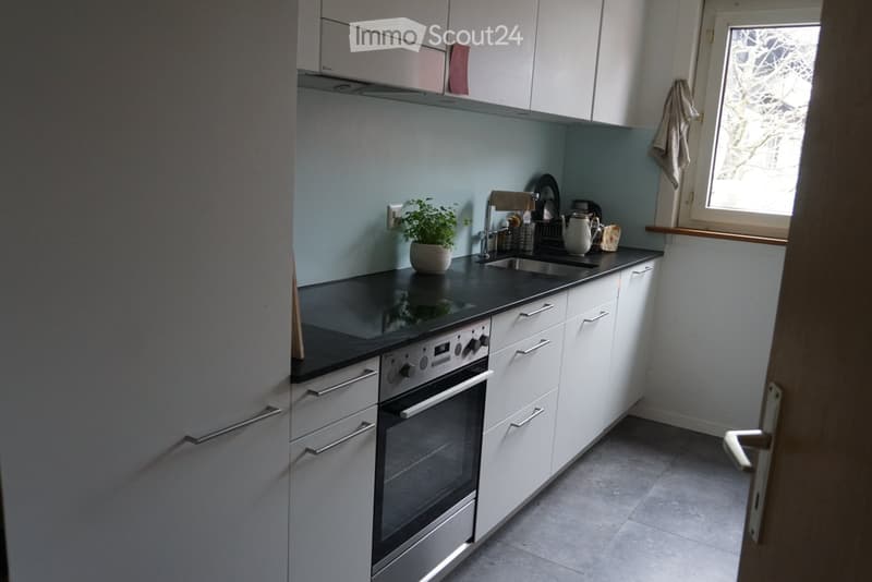 Temporary sublet in Thun (2)
