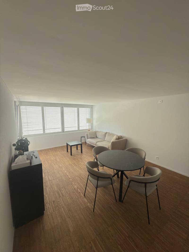Furnished New 2.5-Room Apartment (58.1 m²) with Balcony (3)