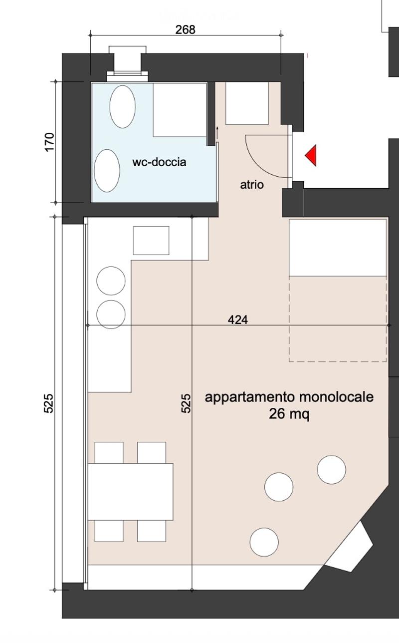 Einzimmerwohnung möbliert renoviert 26m² Piotta Leventina (3)
