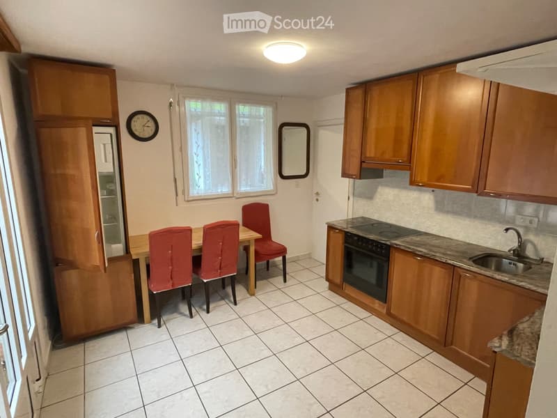 Small independent apartment in Blenio Olivone 650 T. C. (1)