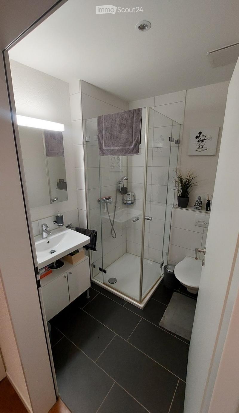 Befristete & Möbelierte Wohnung in Niederhasli (2)