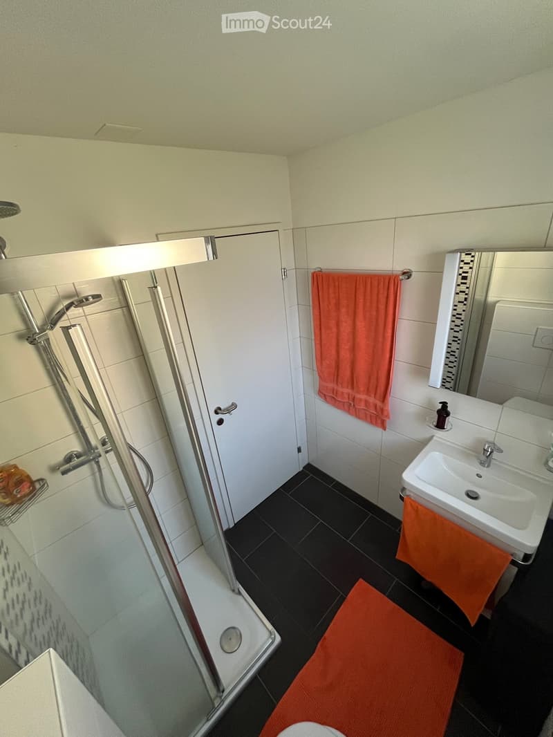 Moderne 3.5-Zimmer-Wohnung zu vermieten (3)