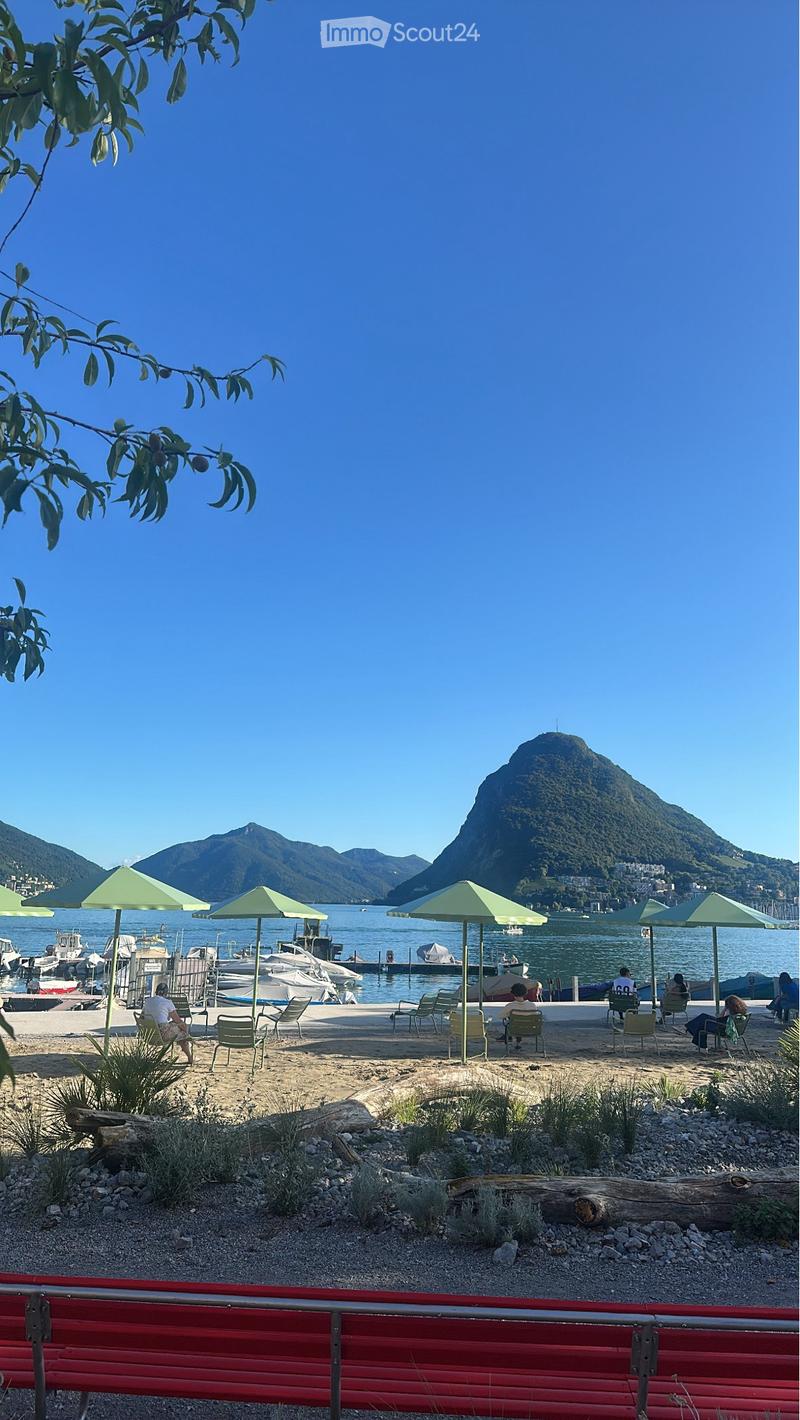 Appoggio saltuario su divano letto in un monolocale a Lugano (1)