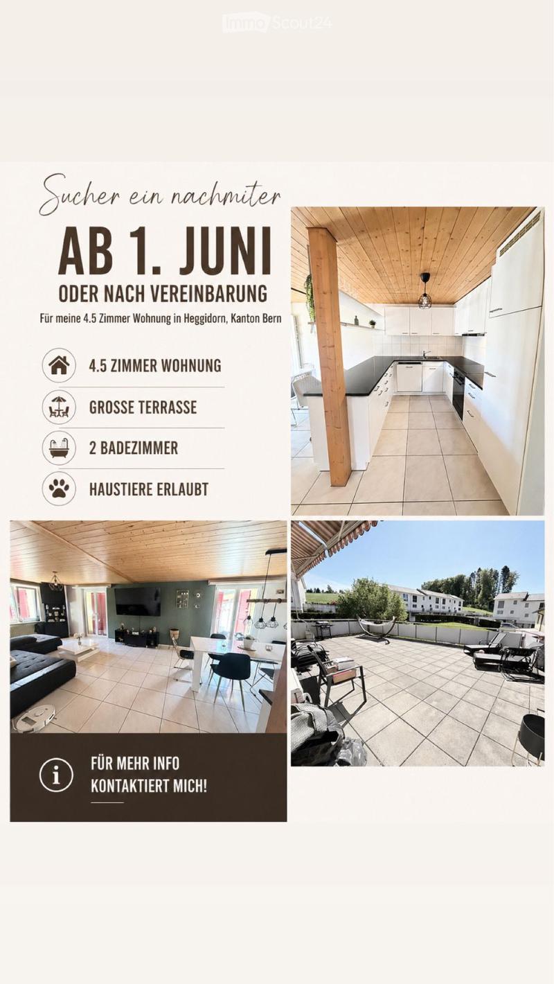 4.5 room apartment with large terrace (1)