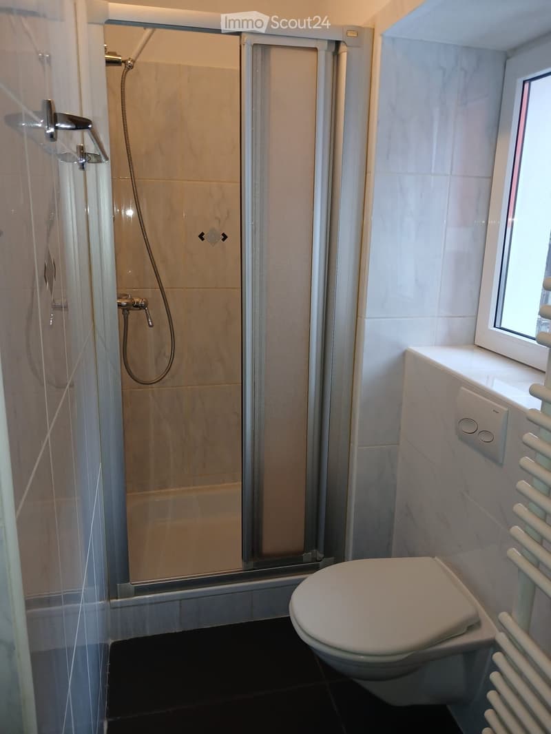 Appartement möbliert zur Miete, sofort verfügbar (5)