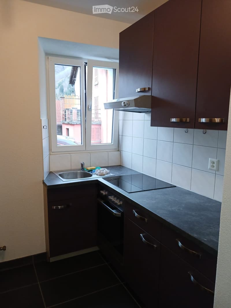 Appartement möbliert zur Miete, sofort verfügbar (4)