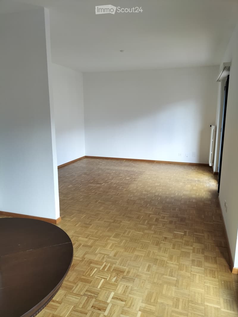 Rent 3 1/2 rooms furnished apartment in Bellinzona North (2)