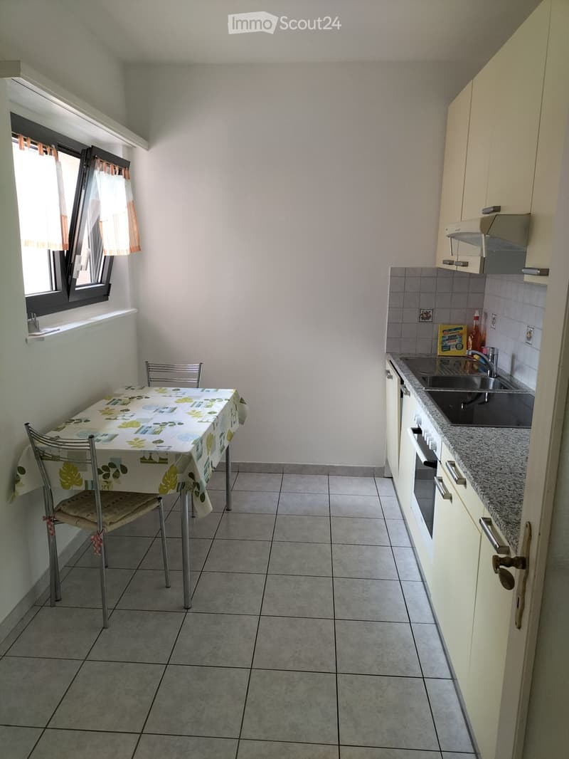 Rent 3 1/2 rooms furnished apartment in Bellinzona North (1)