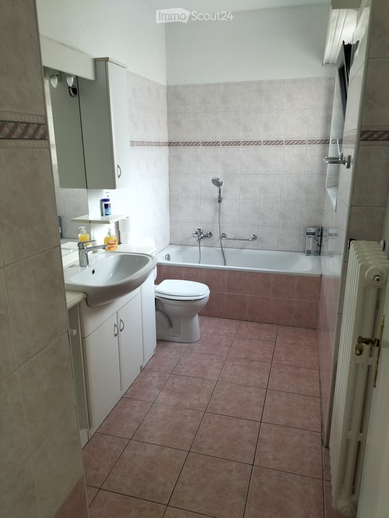 Rent 3 1/2 rooms furnished apartment in Bellinzona North (4)