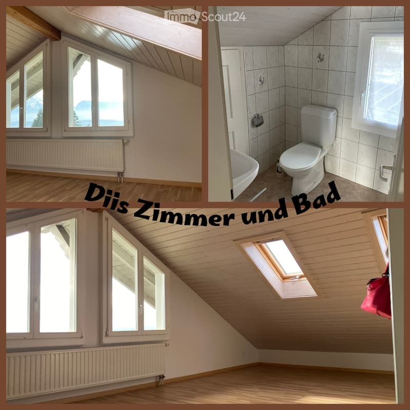 Room in a shared apartment with a great view of Lake Thun (2)