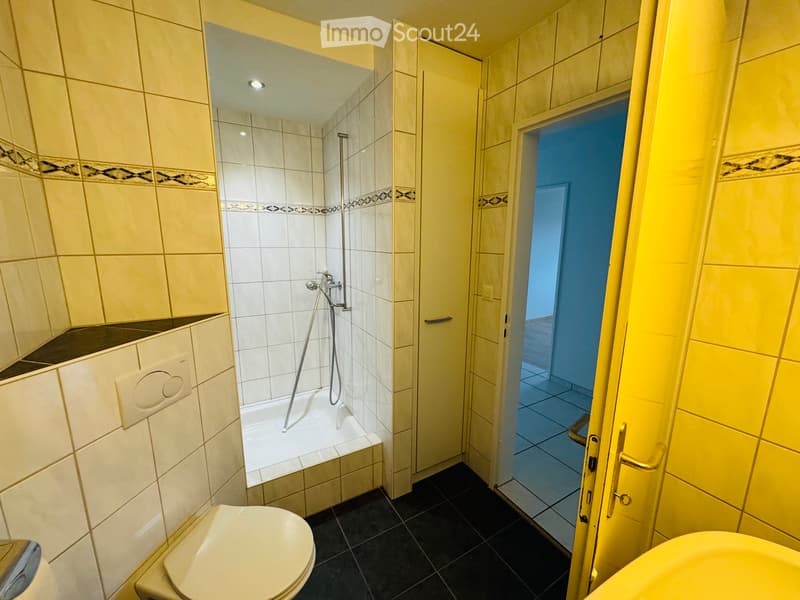 6.5-room apartment with panoramic views, 2 balconies (4)