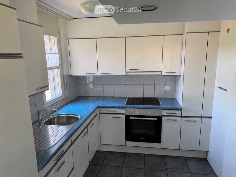 Beautiful 4.5 room apartment (4)