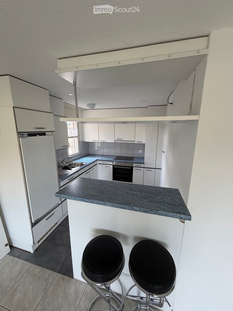 Beautiful 4.5 room apartment (1)