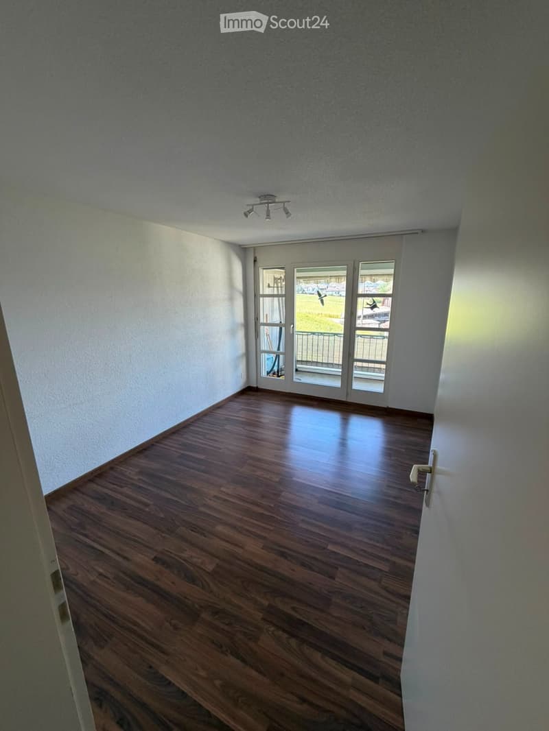 Beautiful 4.5 room apartment (3)