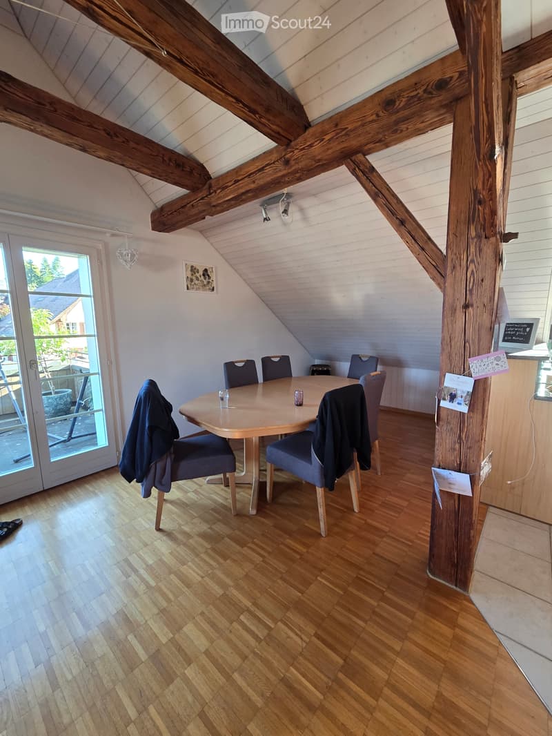 Central bright attic apartment (2)