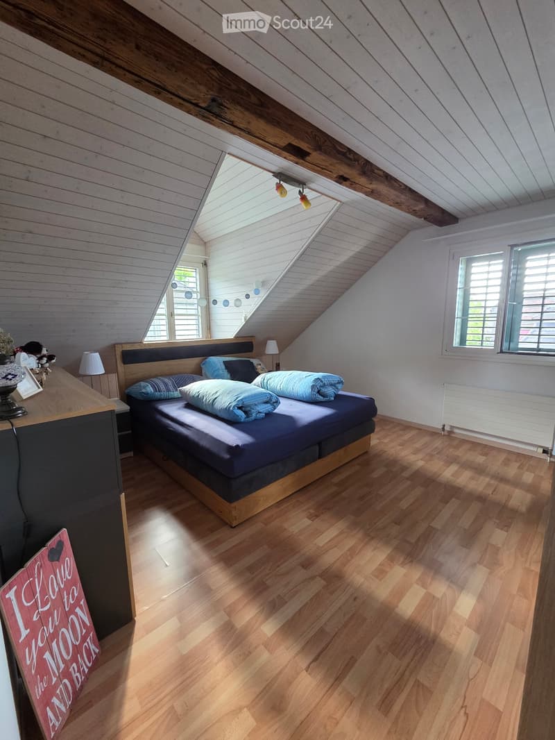 Central bright attic apartment (4)