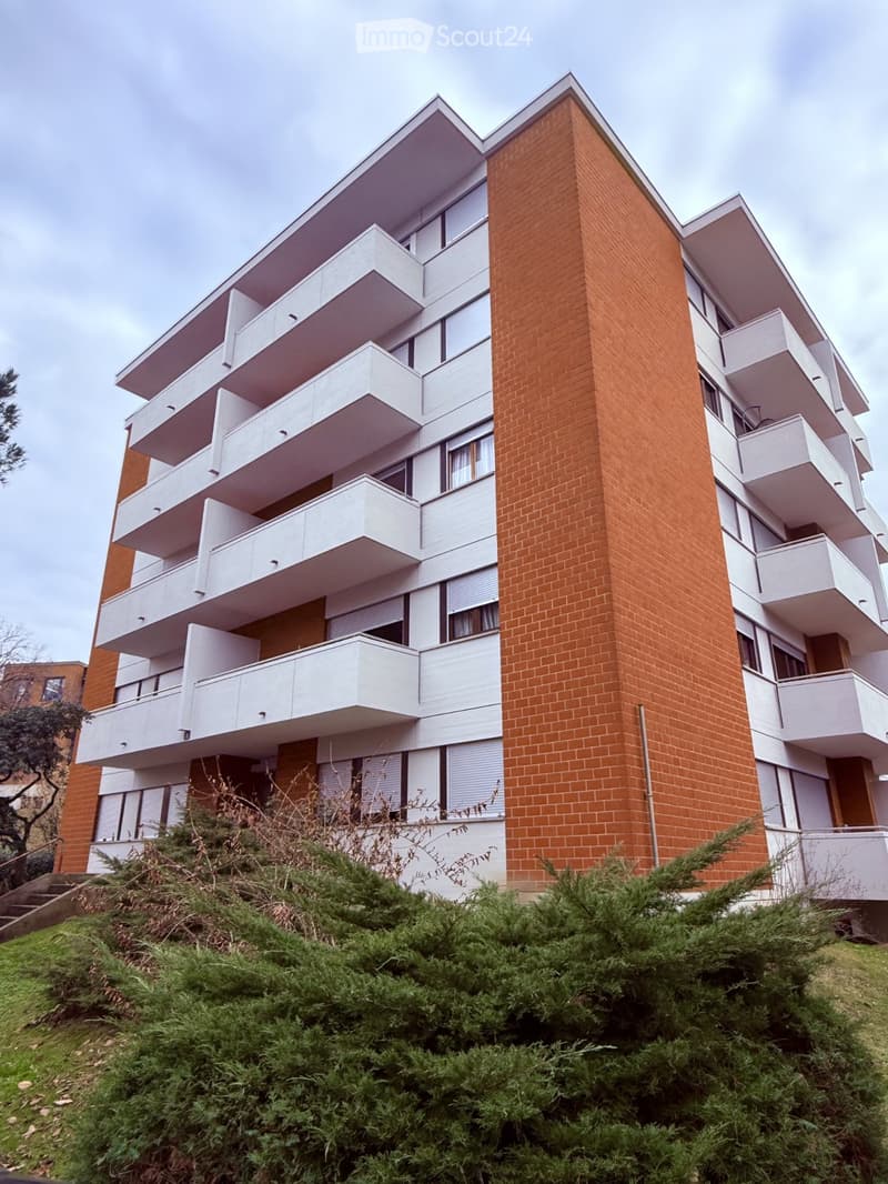 Affittasi grazioso appartamento ammobiliato zona Besso (1)