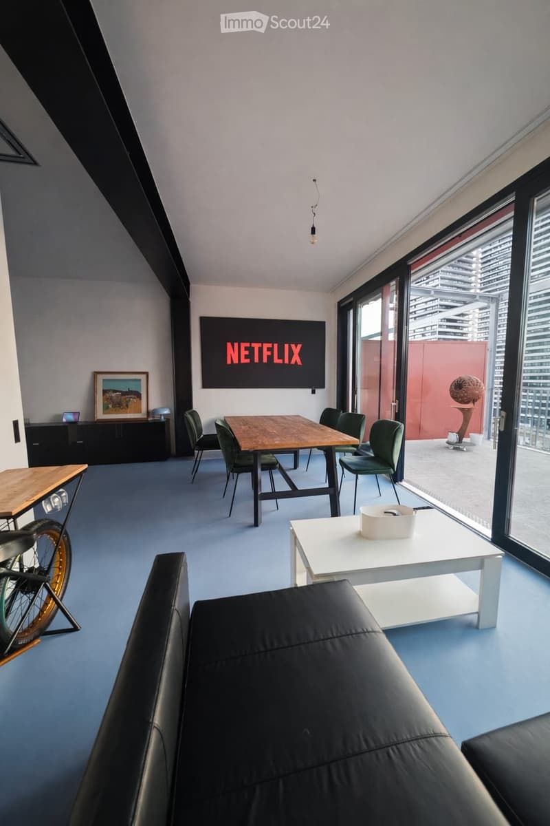 Modern Furnished Apartment near Zurich June Rental DISCOUNT (5)