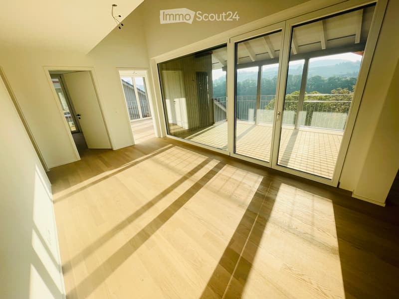 Exklusive 5.5 Maisonette mit Rheinsicht (5)