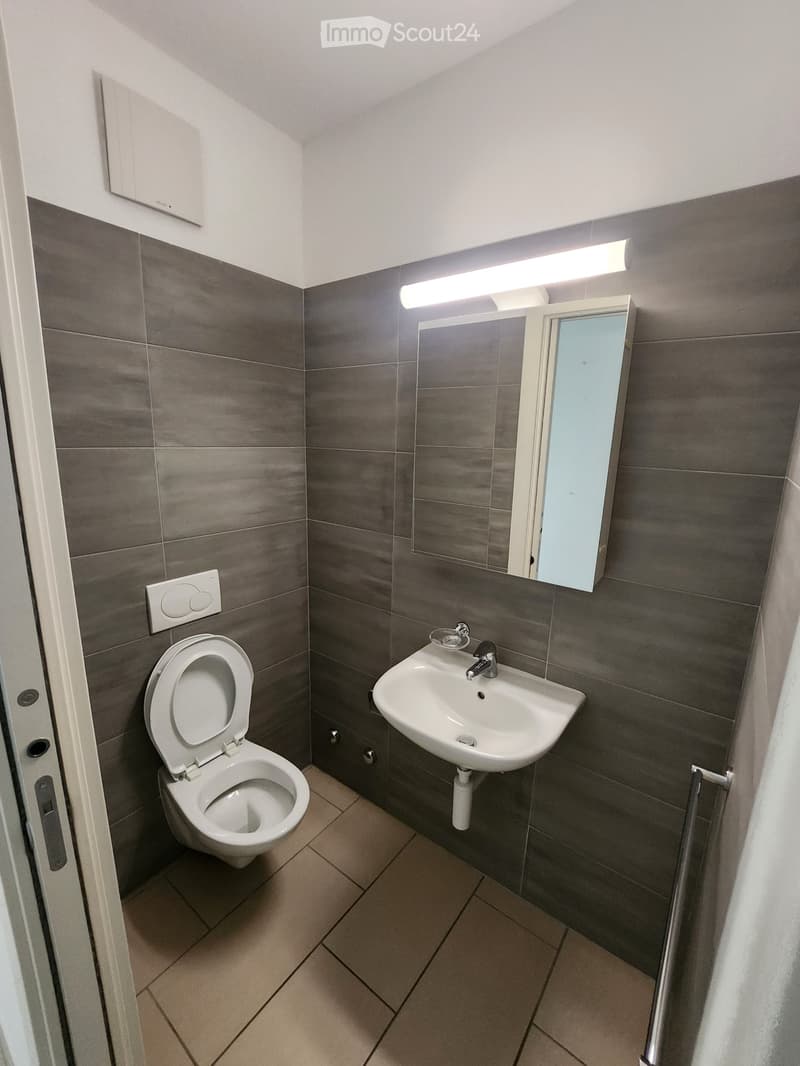 3.5-room apartment in Viganello (5)