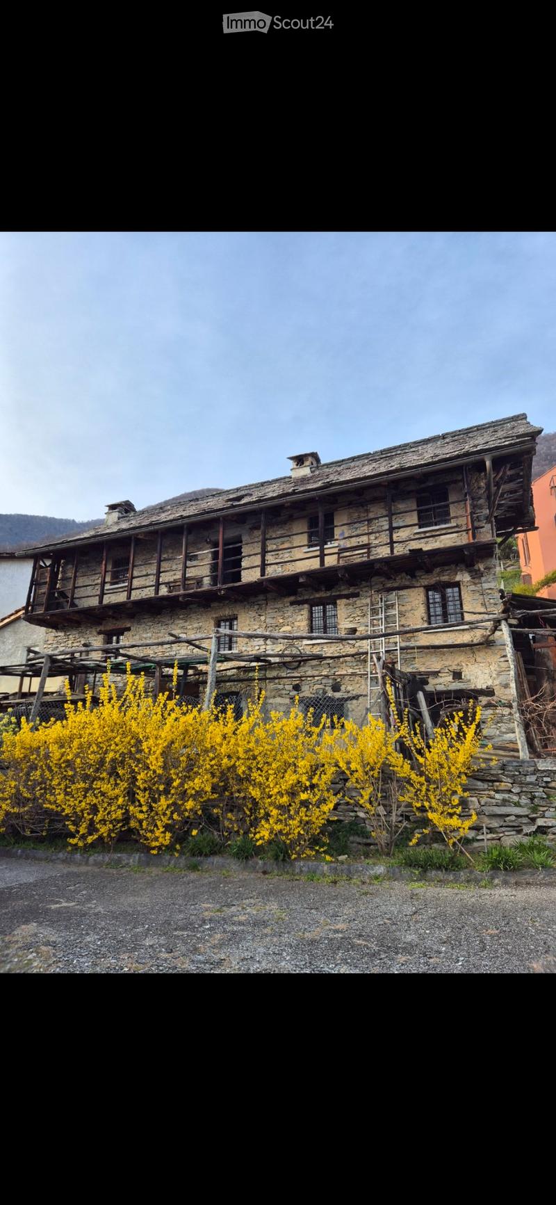 Rustico (1)