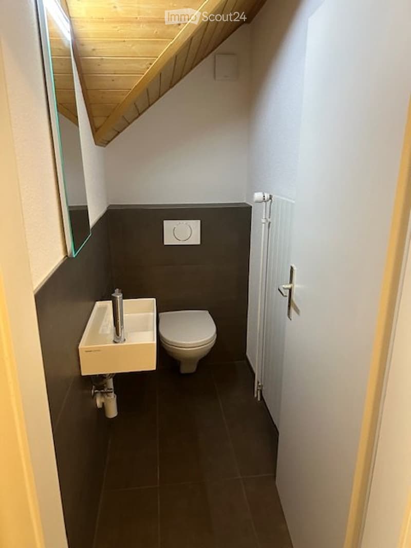 Spacious 2.5-room apartment for rent (4)