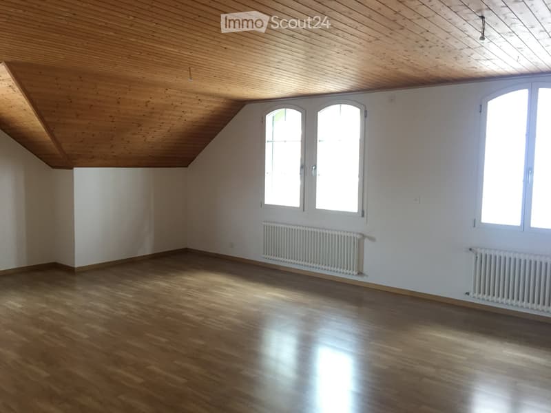 Spacious 2.5-room apartment for rent (5)