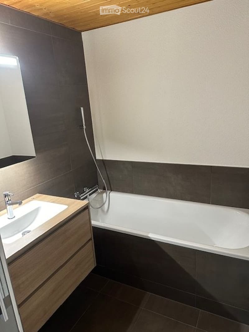 Spacious 2.5-room apartment for rent (3)