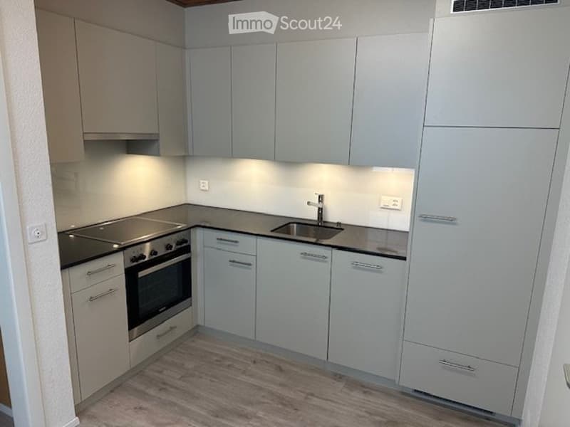 Spacious 2.5-room apartment for rent (1)