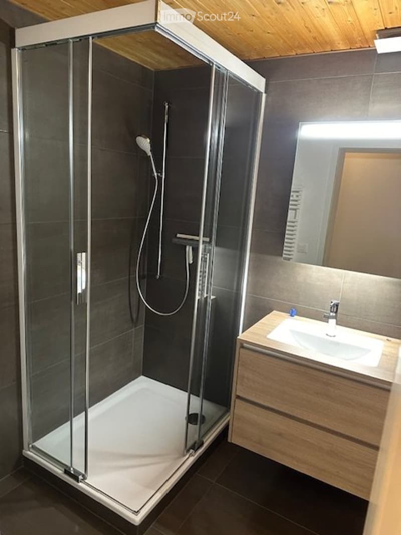 Spacious 2.5-room apartment for rent (2)