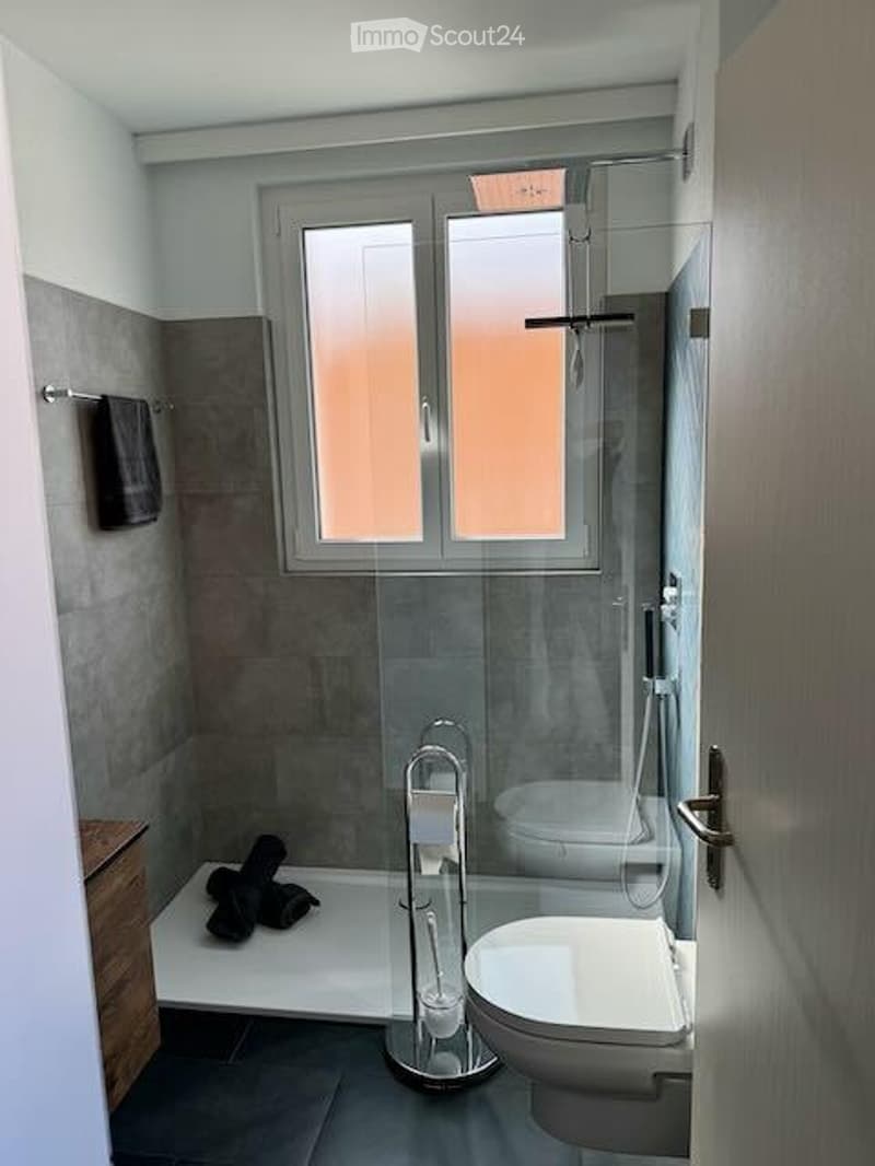 Appartement in Ascona (5)